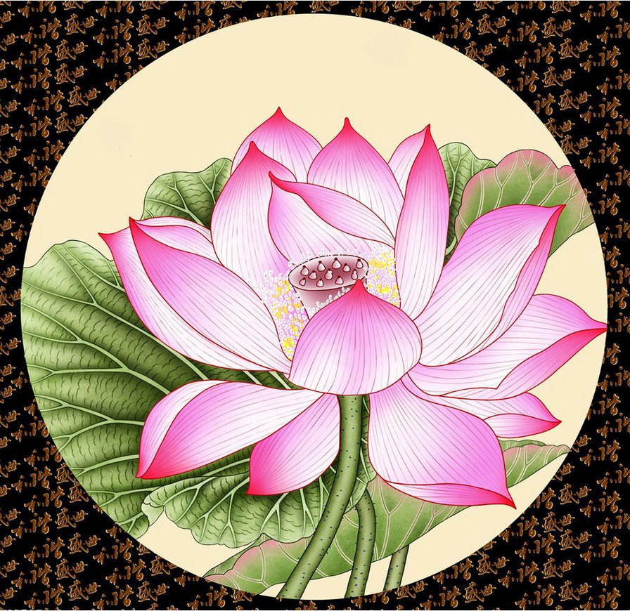 розовый цветок - лотос, лилия, кувшинка, розовые цветы, подушка - оригинал