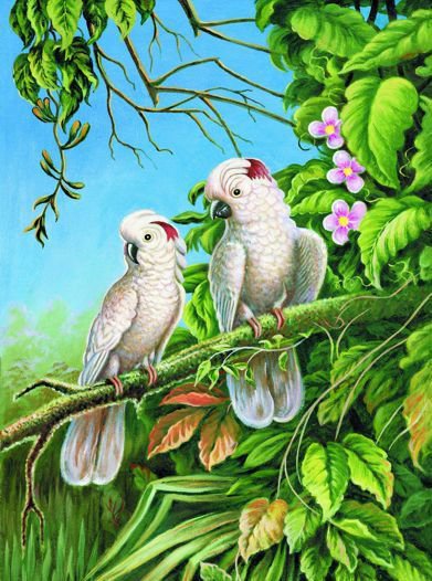 экзотические птицы - попугаи - оригинал