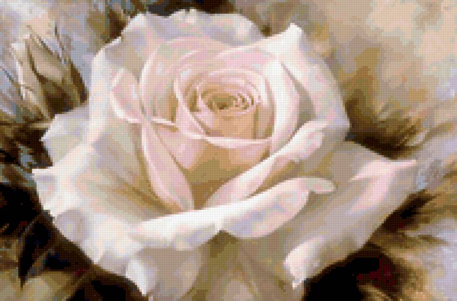 Белая роза - живопись, цветы - предпросмотр