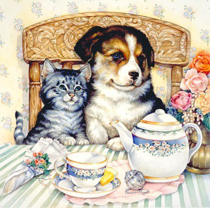 Два друга - кошки, собаки, щенок, малыши, собака, посуда, кошка, котенок - оригинал