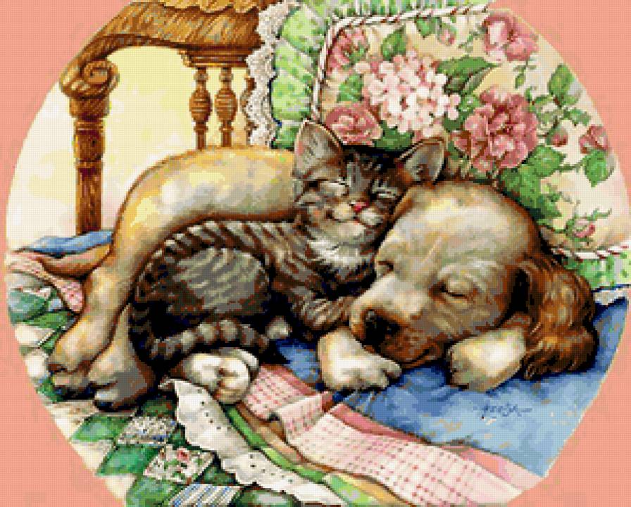 Два друга - животные, цветы, котенок, щенок, сладкие сны, кошка, собака - предпросмотр