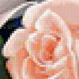 Предпросмотр схемы вышивки «розы» (№402628)