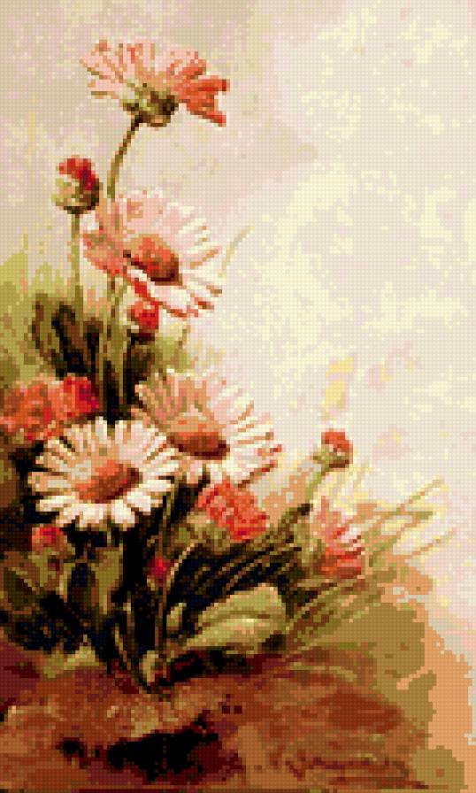 маргаритки - цветы - предпросмотр