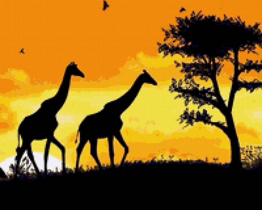 жирафи на фоне заходящего солнца - закат, жирафи, животные - предпросмотр
