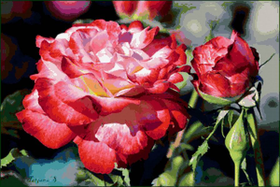 №402885 - розы, цветы, цветник, живопись - предпросмотр