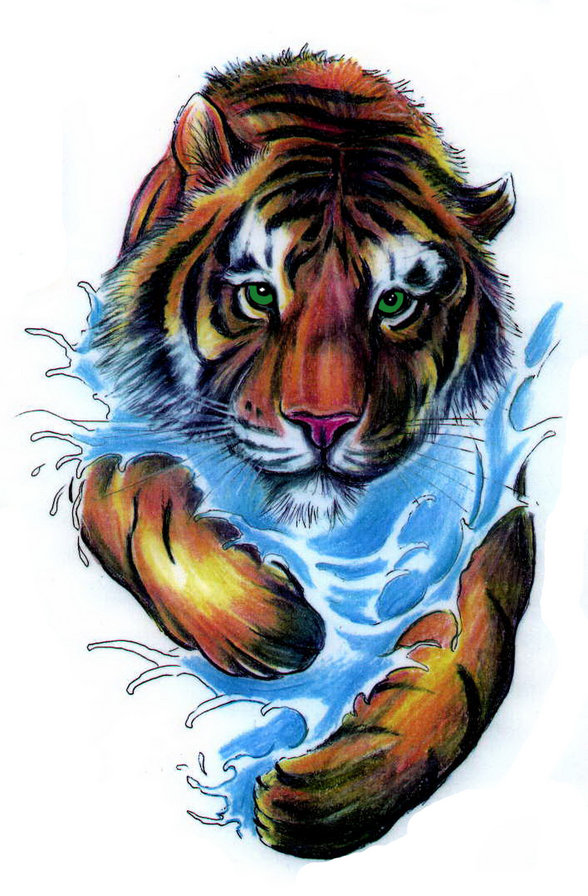 нападает - взгляд, живопись, тигр, хищник, вода - оригинал