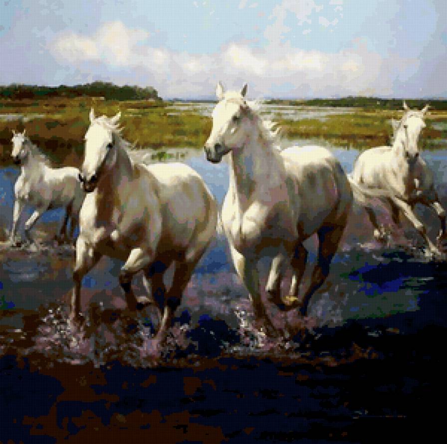 Белые лошади - животные, лошадь, природа, река, конь - предпросмотр