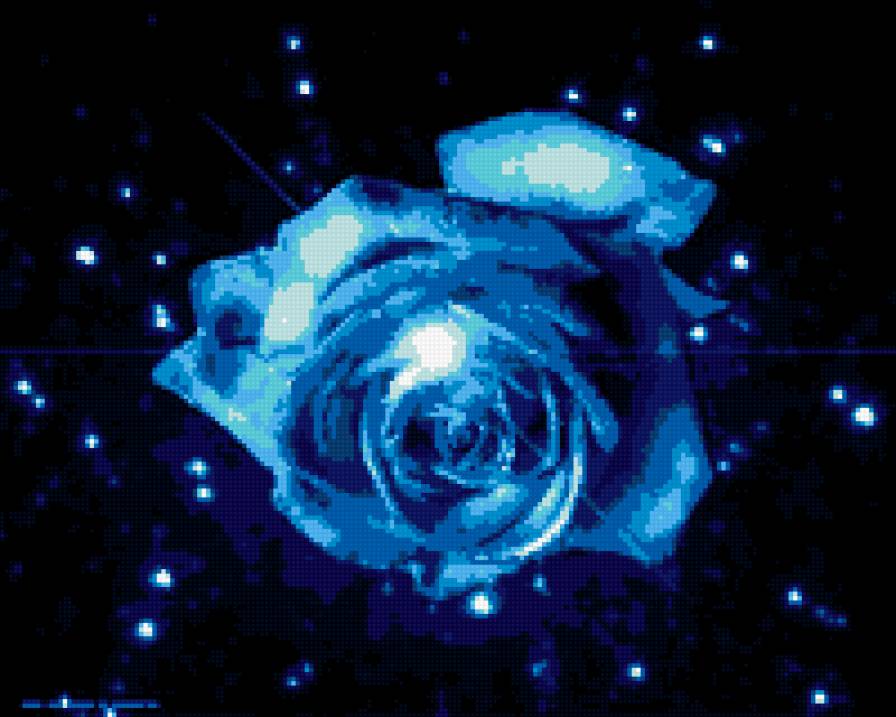 синяя роза - предпросмотр