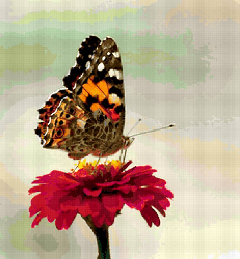 бабочка - крылья, бабочка, цветок - предпросмотр