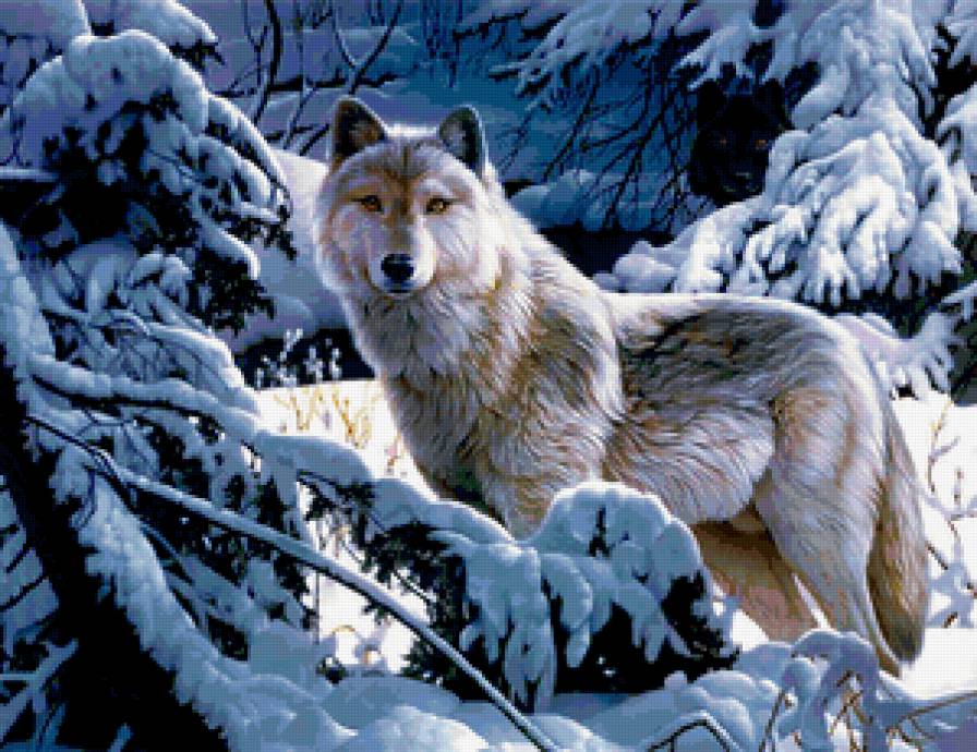 Волк - волки, животные, снег, лес, зима - предпросмотр