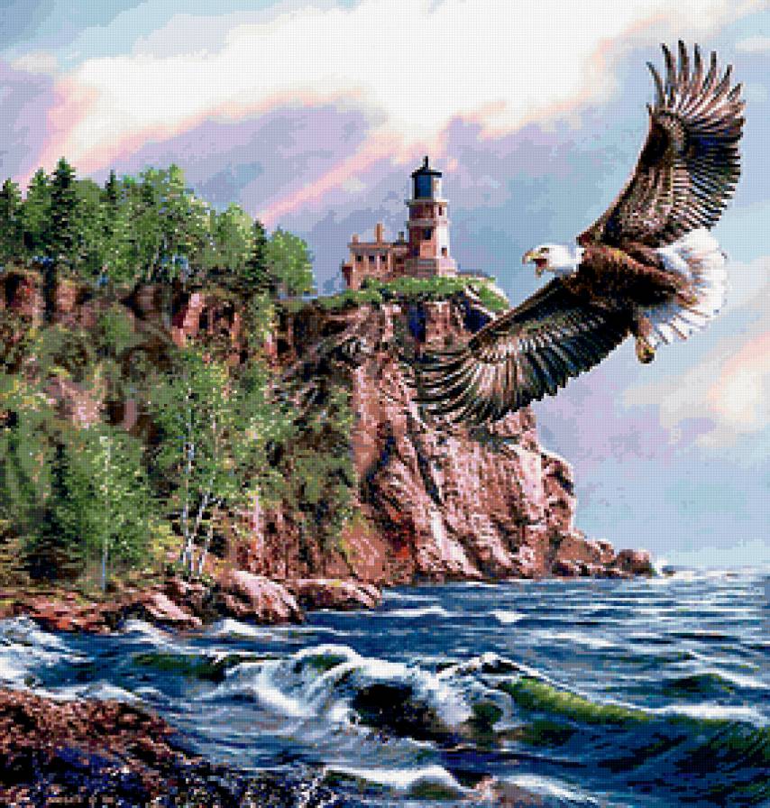 Орел над морем - орел, море, птицы - предпросмотр