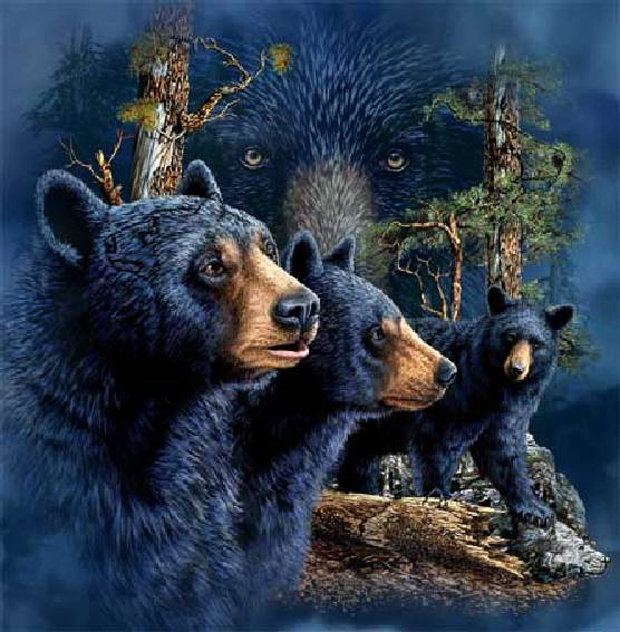 Медвежий взгляд №1 - животные - оригинал
