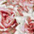 Предпросмотр схемы вышивки «розы» (№405551)