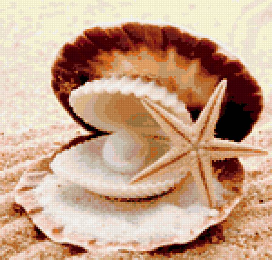 Ракушка - море, жемчуг, пляж, песок, ракушка, мушля - предпросмотр