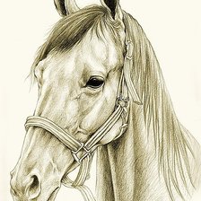Оригинал схемы вышивки «портрет коня» (№405832)