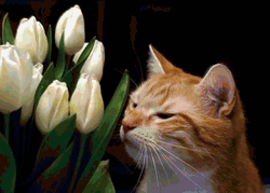 Кошка с тюльпанами - предпросмотр