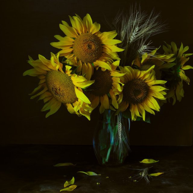 подсолнухи на тёмном фоне - ваза, цветы, подсолнухи - оригинал