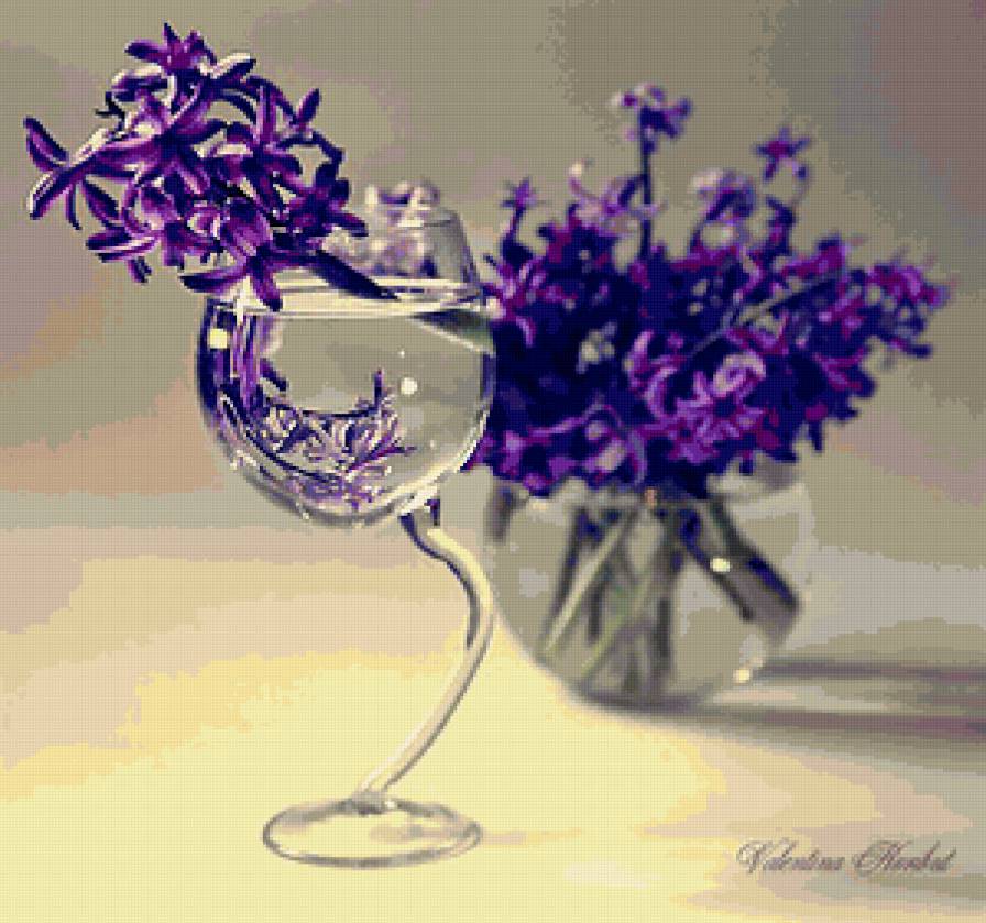 гиацинт в рюмке - гиацинт, цветы - предпросмотр