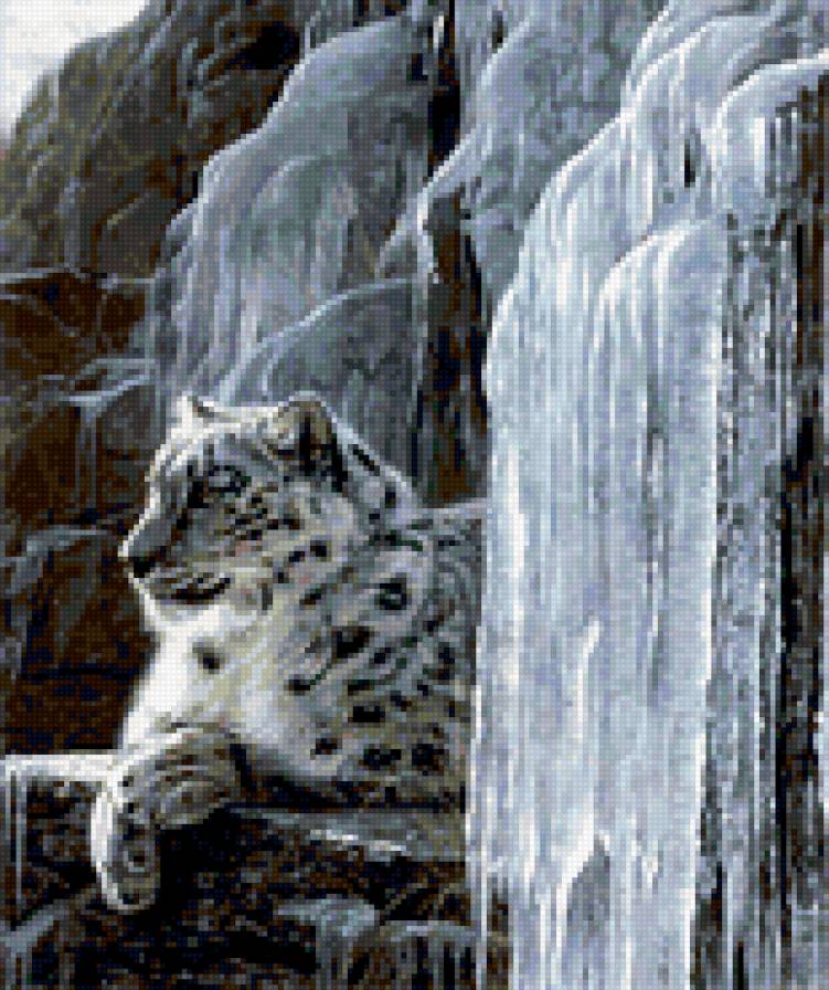 Снежный барс - дикие кошки - предпросмотр