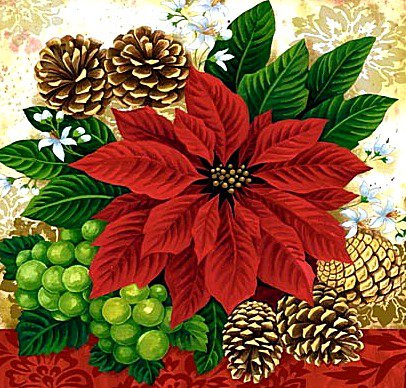 Пуансеттия - пуансеттия, виноград, подушка, цветок, шишки - оригинал
