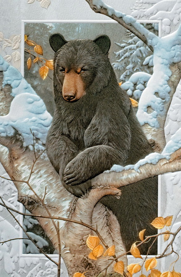 Медведь - природа, лес, животные, снег, медведь, осень, медведи - оригинал
