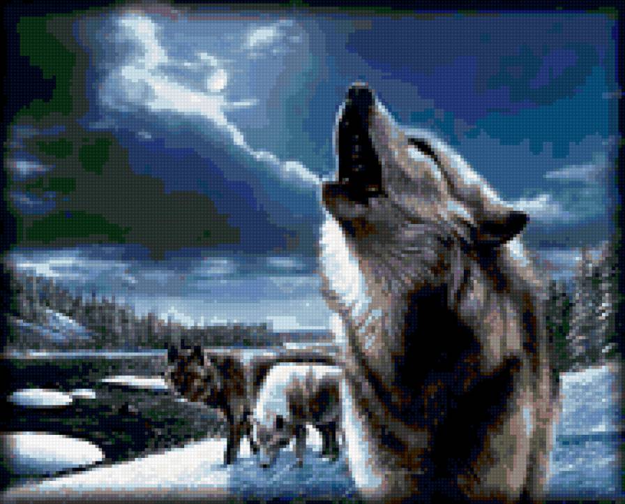 воющий волк - волки - предпросмотр