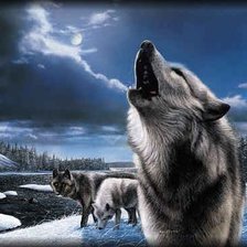 Схема вышивки «воющий волк»