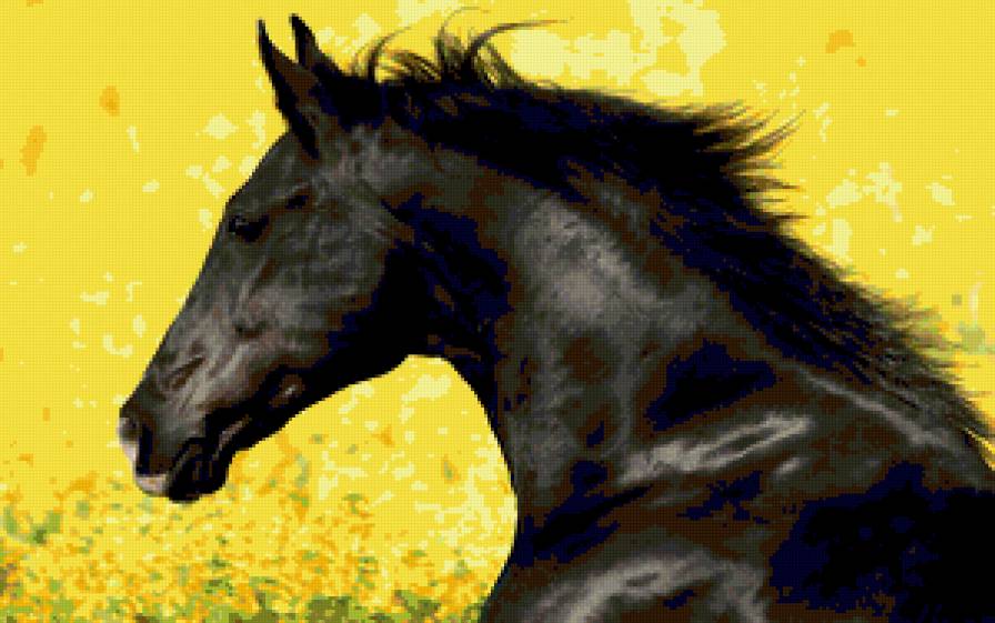 чёрный конь - конь - предпросмотр