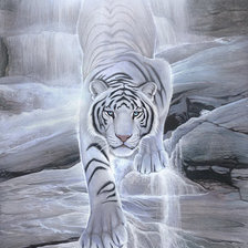 тигр из водопада