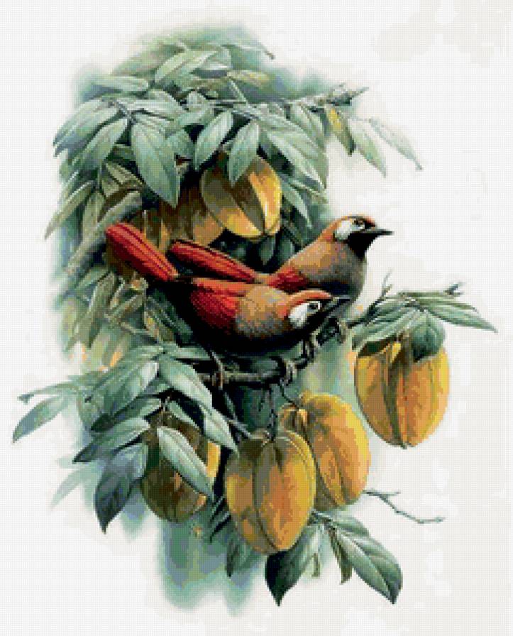 Серия "Птицы" - птицы, растение, природа - предпросмотр