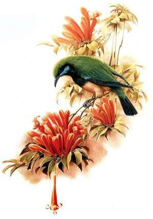 Серия "Птицы" - природа, птицы, растение - оригинал
