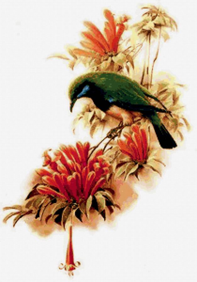 Серия "Птицы" - птицы, растение, природа - предпросмотр