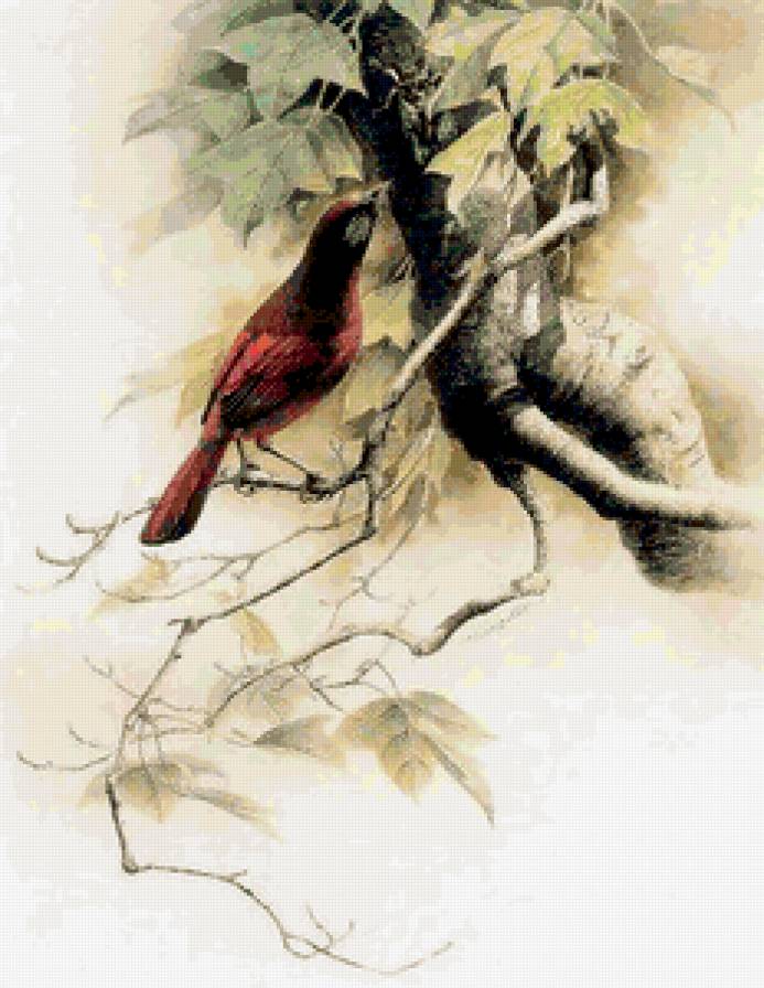 Серия "Птицы" - растение, природа, птицы - предпросмотр