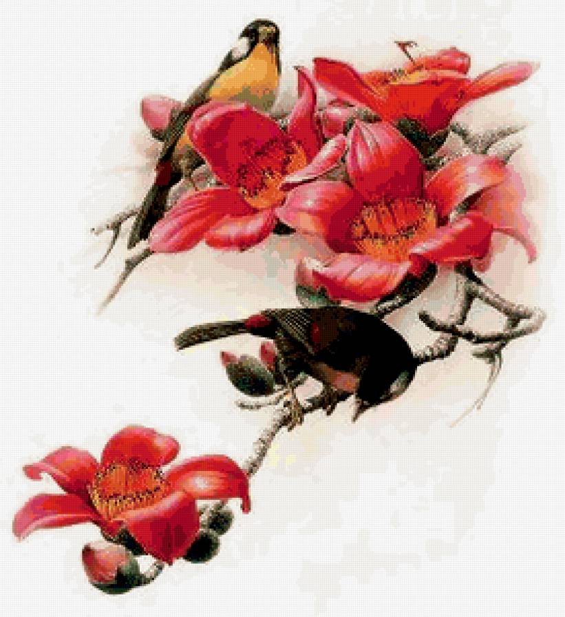 Серия "Птицы" - растение, природа, птицы - предпросмотр