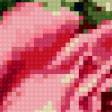 Предпросмотр схемы вышивки «ландыш белоснежный,розан аленький» (№407740)