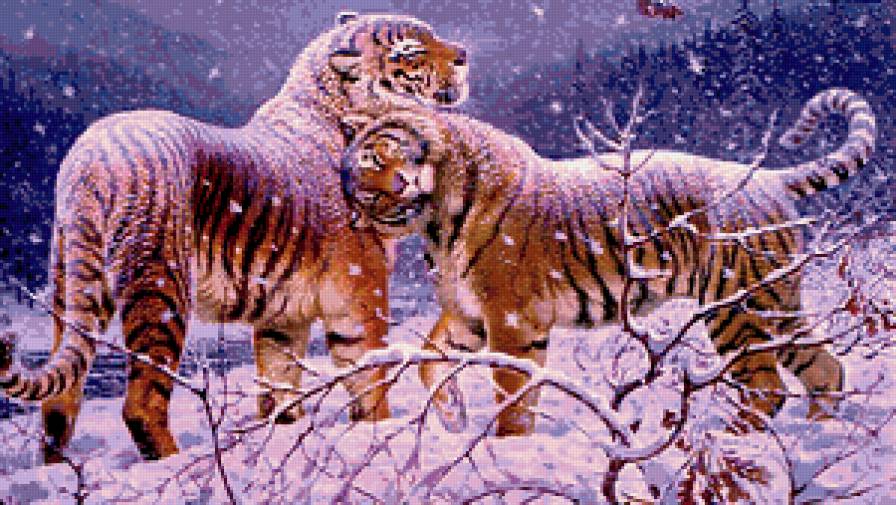 Любовь - тигры, животные - предпросмотр