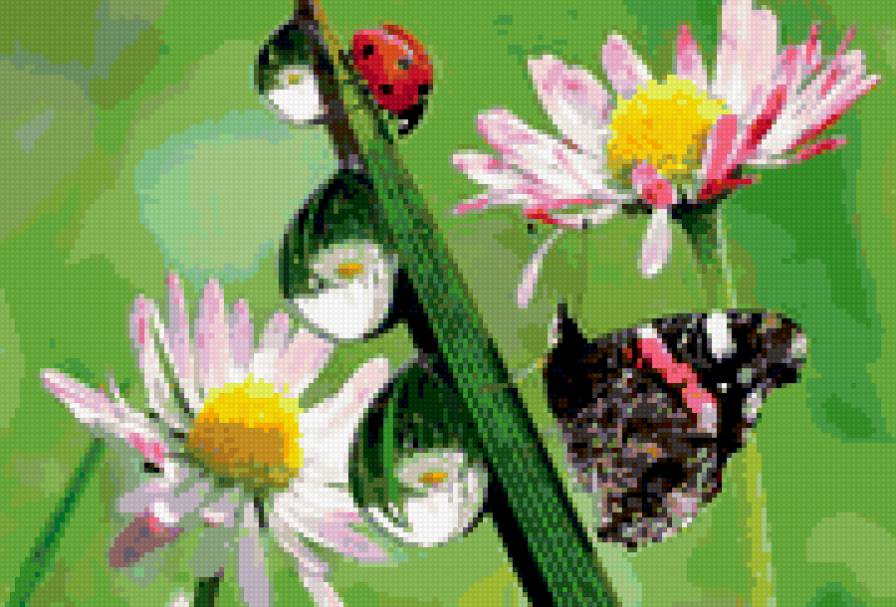 Роса - насекомые, бабочки, ветка, роса - предпросмотр