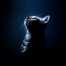 Оригинал схемы вышивки «кошка в темноте» (№408109)