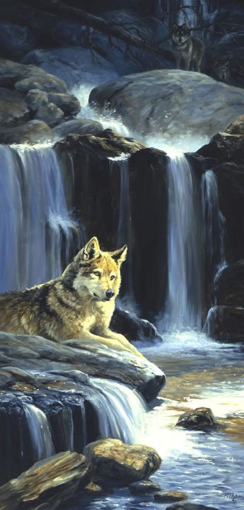 0128 - природа, ночь, волк, картина, волки, животные, красота - оригинал