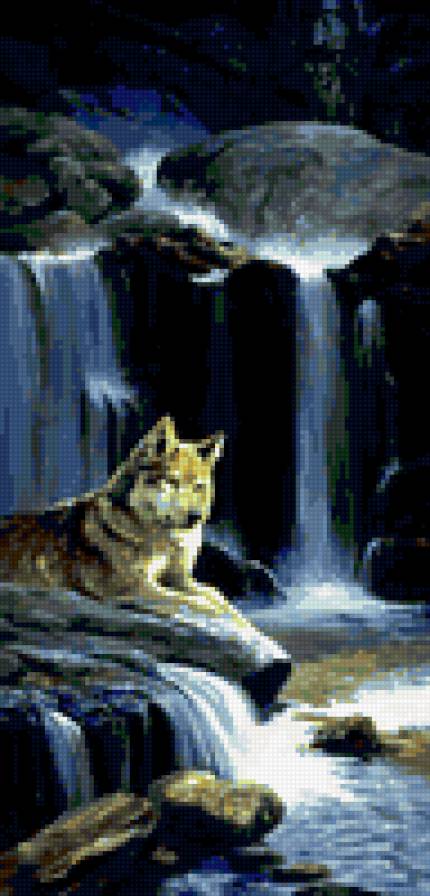 0128 - волки, ночь, картина, природа, животные, красота, волк - предпросмотр