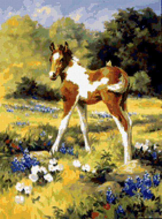 0129 - картина, лето, лошадь, животные, природа, красота, жеребенок - предпросмотр
