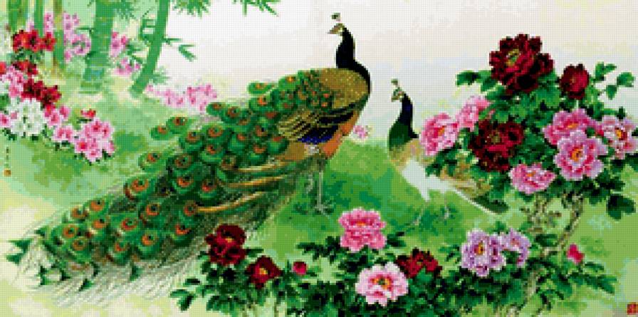 Павлины - китайская живопись, павлины, птицы, китай, восток - предпросмотр