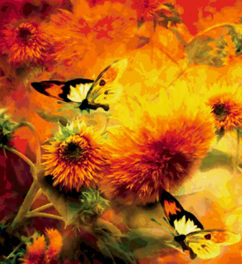 Бабочки с хризантемами - хризантемы, цветы, бабочки - предпросмотр