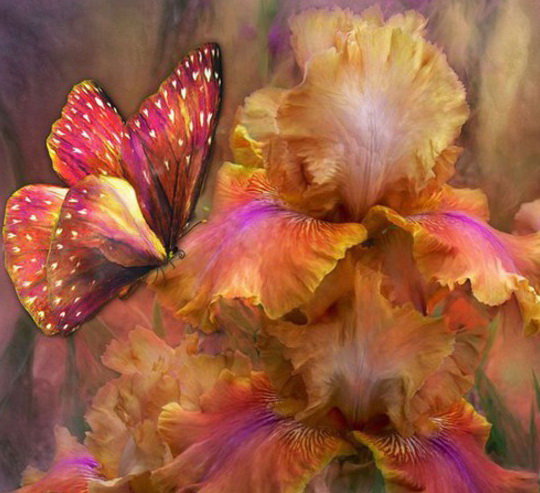 Бабочка с ирисом - бабочки, цветы, ирисы - оригинал