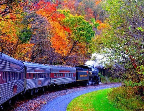 Осенний пейзаж - поезд, природа, осень, пейзаж - оригинал