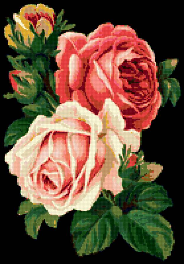 Винтажные розы - розы, букет - предпросмотр