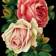 Оригинал схемы вышивки «Винтажные розы» (№408431)