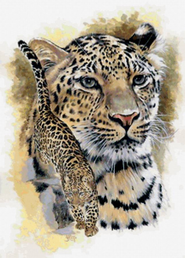 Леопард - животные, кошки, леопарды - предпросмотр