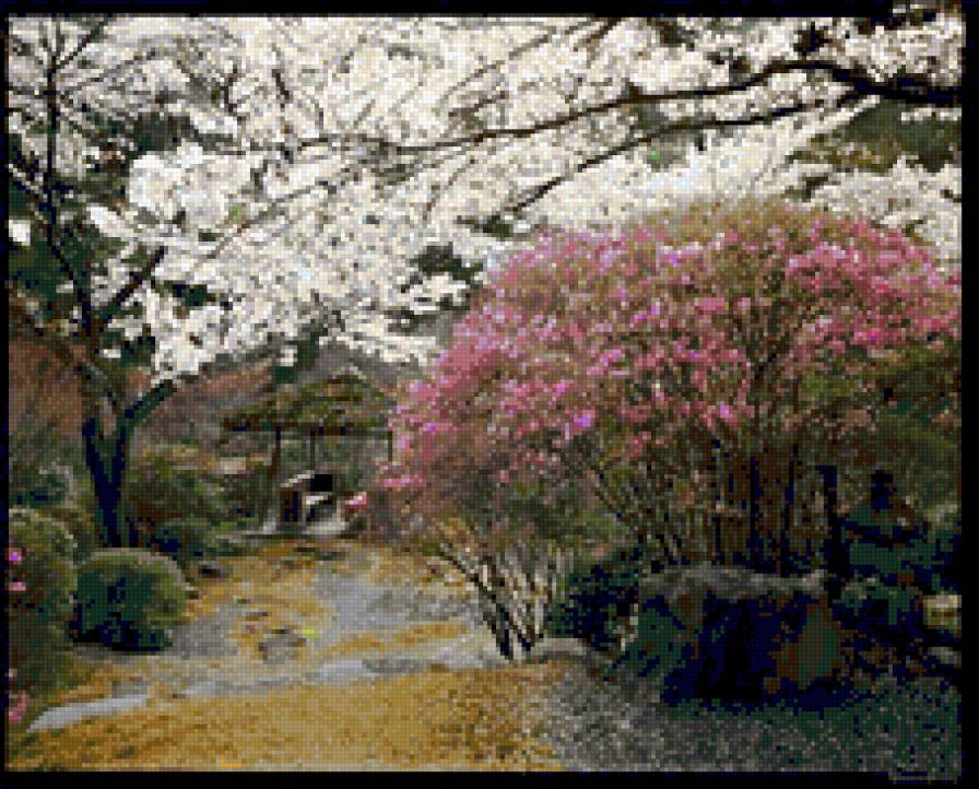 японский сад - весна, картина, сакура, япония - предпросмотр