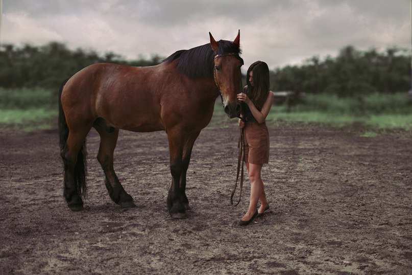 девушка с лошадью - девушка, лошадь - оригинал